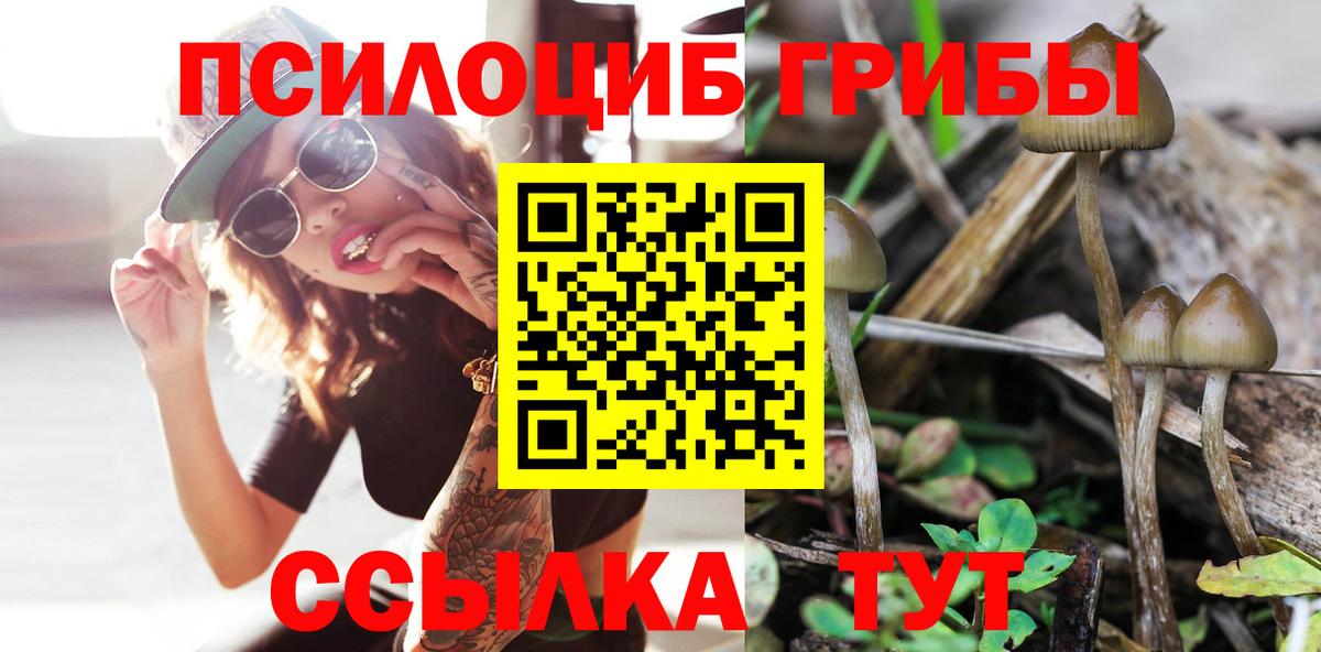 Галлюциногенные грибы мухоморы  сколько стоит  Тамбов  Вход с VPN 