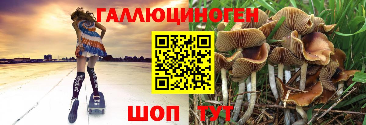 Галлюциногенные грибы ЛСД Тамбов